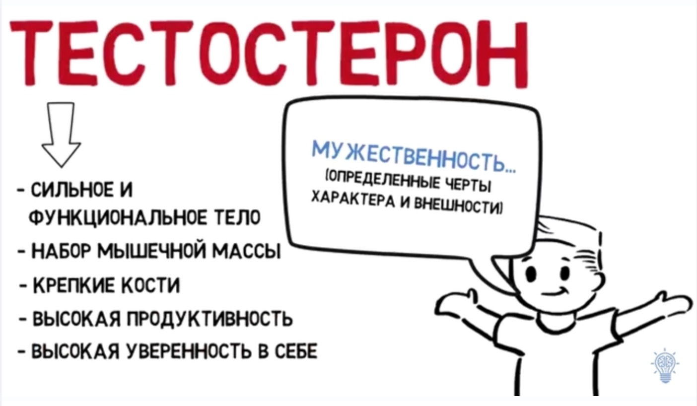 Как повысить тестостерон у мужчин